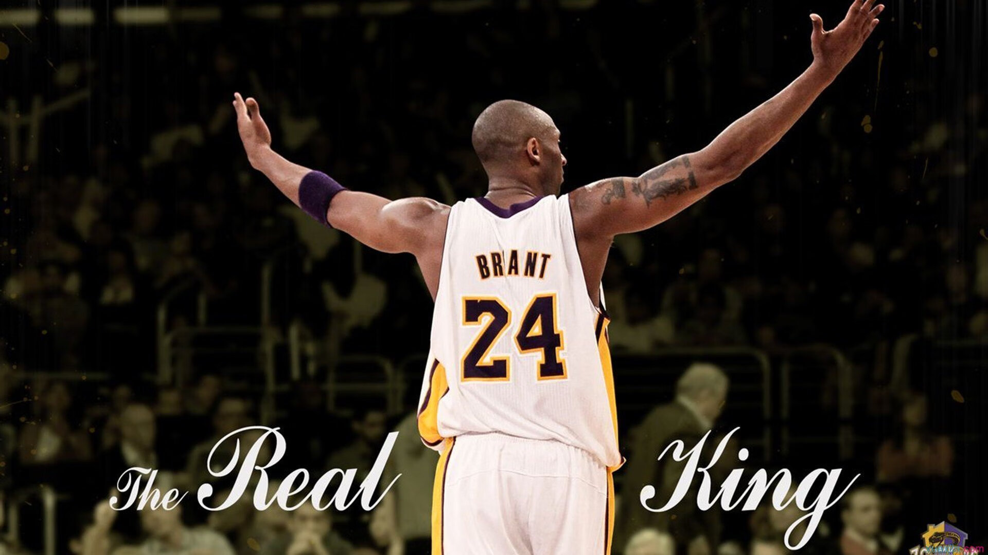 “青训计划获国家支持，未来可期”，青训还有吗